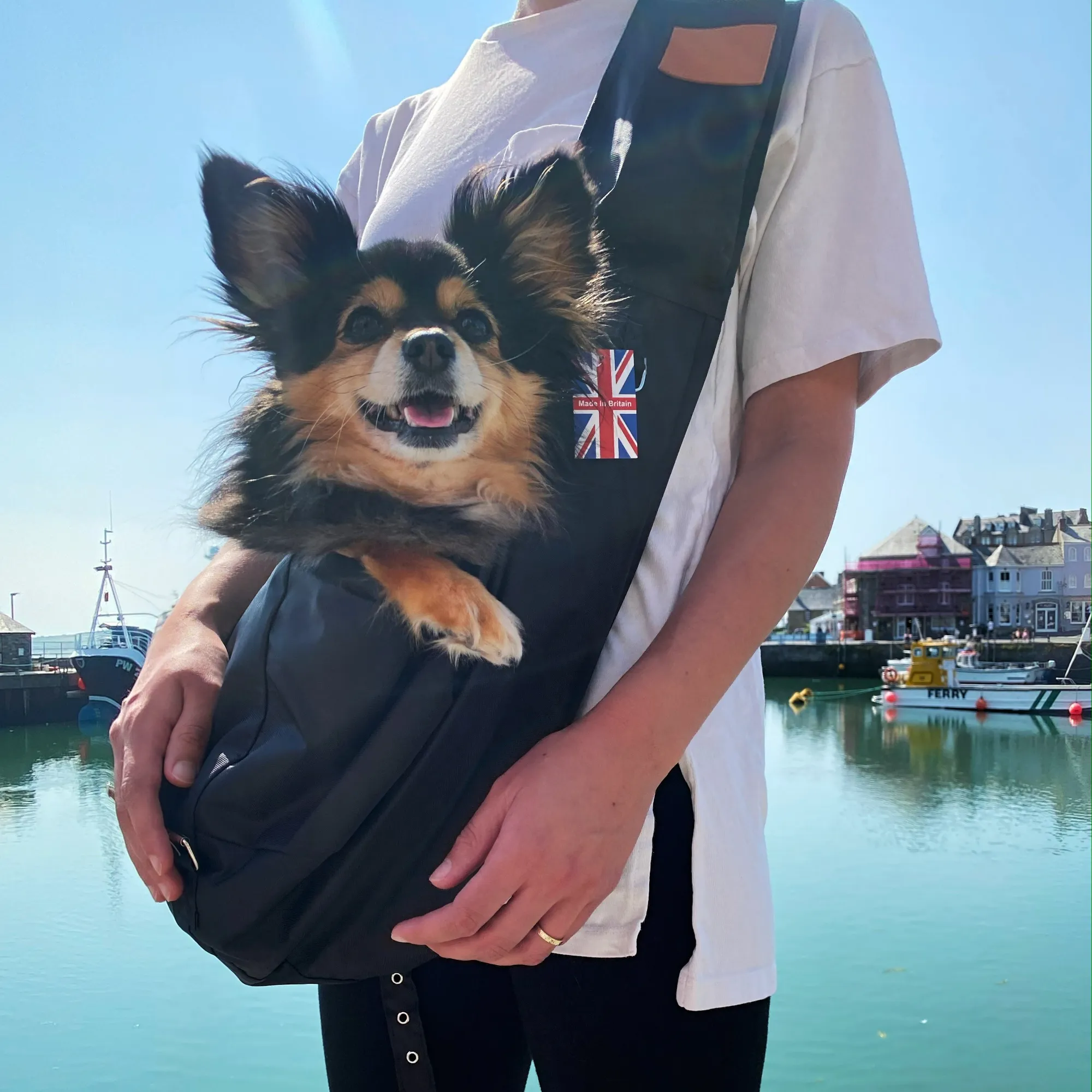 Waterproof Dog Slings