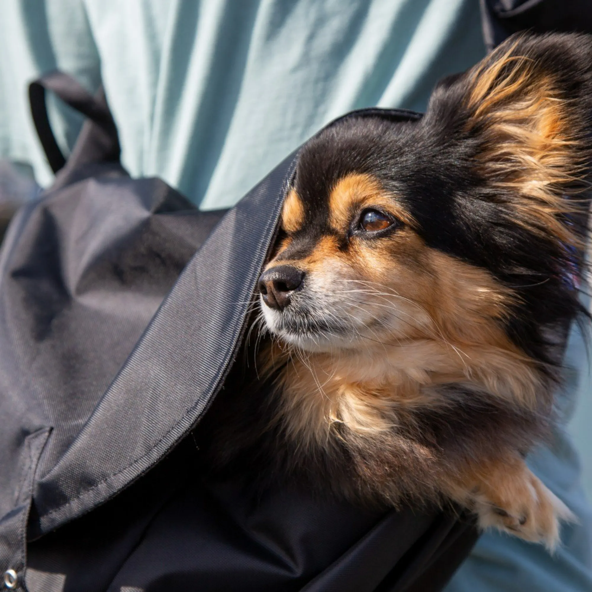Waterproof Dog Slings